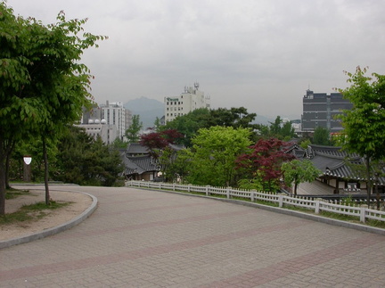 DSCN5011